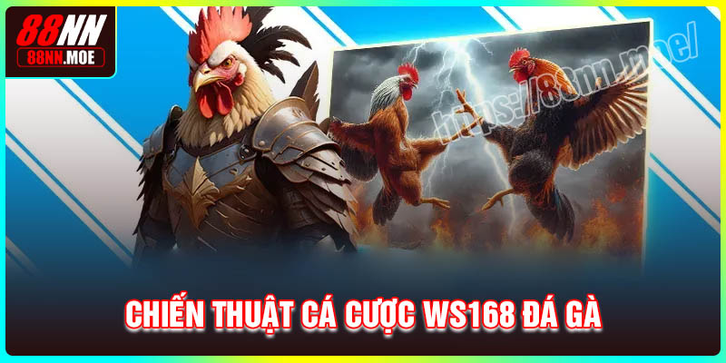 Chiến thuật cược hay tại sảnh WS168 Đá gà 88NN