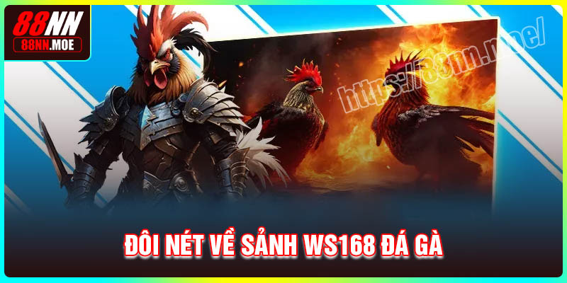 Đôi nét về sảnh WS168 đá gà